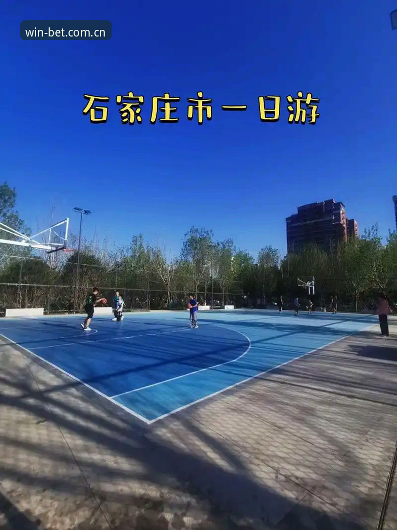 Bet体育实时数据最新动态：决胜每一刻的智慧体育生态全面升级